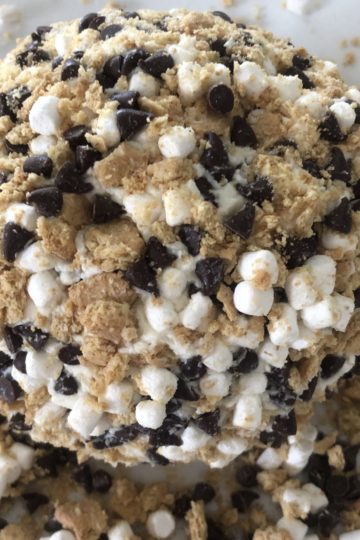 S’mores Cheese Ball