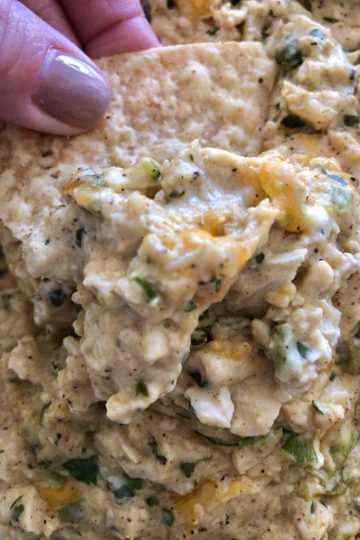Rolled taco Dip is the perfect Mexican dip for snack cravings